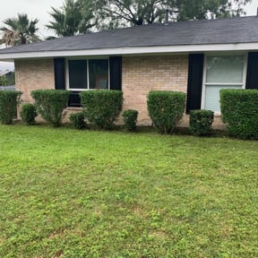 Bush Trimming by Hall Outdoor Services, LLC reviewed on August 17, 2025