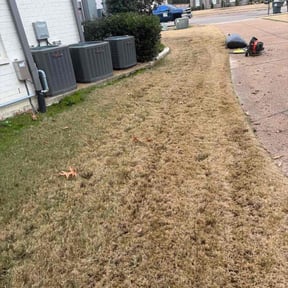 Leaf Removal by Lawn Lovers Landscaping reviewed on November 26, 2025
