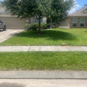 turf care by Capital Mowing reviewed on June 4, 2025