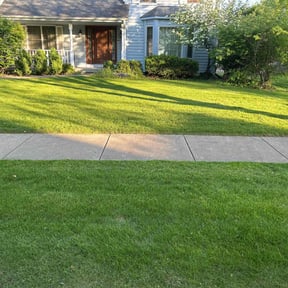 landscaping services by Silva lawn care reviewed on August 3, 2025