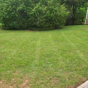 landscaping services by Crunk Pro Lawn Care reviewed on August 18, 2025