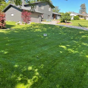 landscape maintenance by Slick Lawns reviewed on August 18, 2025