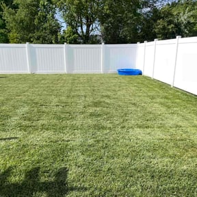 yard care by 911 elite landscaping reviewed on August 18, 2025
