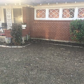 Leaf Removal by Intelligent solutions lawncare reviewed on August 15, 2025