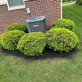 Mulching by Rodriguez Lawn Care LLC reviewed on August 17, 2025