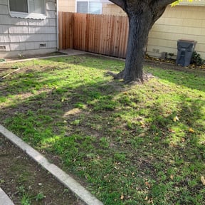 Leaf Removal by Southern touch reviewed on September 10, 2025