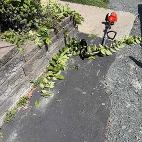 Bush Trimming by Blooming Seeds 1.0 reviewed on July 27, 2026