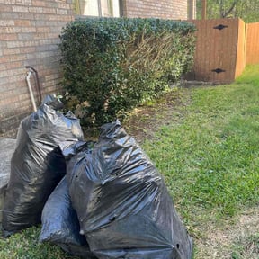Bush Trimming by J.taylorgrading LLC reviewed on August 15, 2025