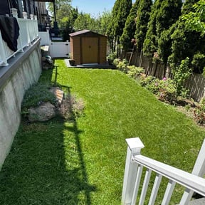 lawn service by Peña lawn service  reviewed on August 17, 2025