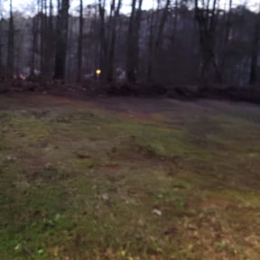 Leaf Removal by Jr&#039;s Landscape reviewed on October 2, 2025