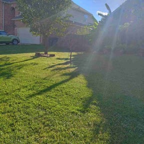 lawn maintenance by T&M Lawn Services reviewed on August 12, 2023