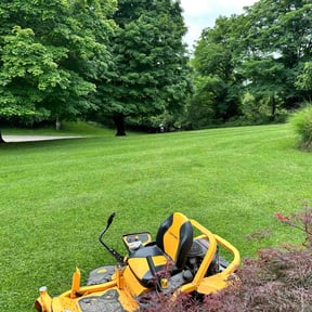 gardening service by Metro Birmingham Lawn Care reviewed on August 15, 2025