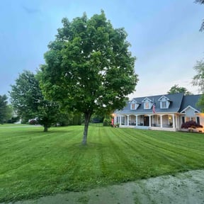 yard service by Nextdoor Lawn Services LLC reviewed on August 18, 2025