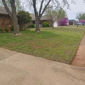 Leaf Removal by Campbell&#039;s lawns reviewed on September 23, 2025