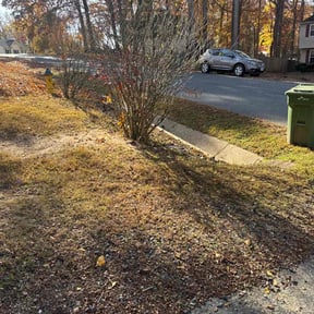 Leaf Removal by Cleancut Landscaping reviewed on November 24, 2025