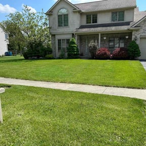 lawn service by Lawn Champs reviewed on June 29, 2025
