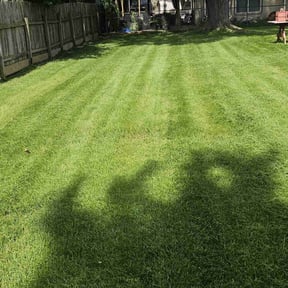 lawn care by Anyway landscape reviewed on August 17, 2025