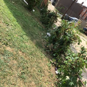 Bush Trimming by Family Lawn Care reviewed on August 17, 2025