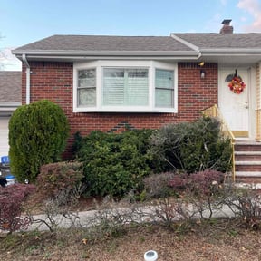 Bush Trimming by Williams Lawn Service reviewed on November 25, 2025