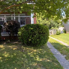 Bush Trimming by Beautiful Home Services reviewed on August 20, 2025