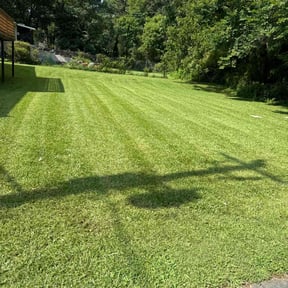 yard service by Smart Future Services reviewed on August 20, 2025