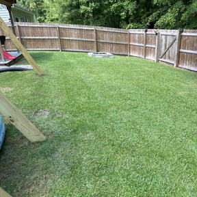 lawn service by Brian Braby reviewed on August 15, 2023