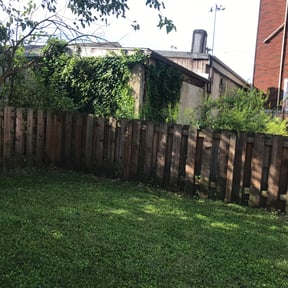 Bush Trimming by Spring lawn care reviewed on August 18, 2025