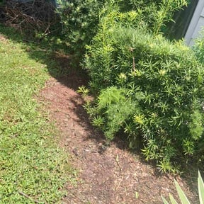 Flower Bed Weeding by Mark1Pro Lawn Service reviewed on November 19, 2025