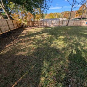 Leaf Removal by Darrie reviewed on November 5, 2025