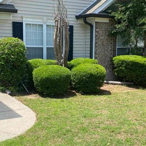 Bush Trimming by Exclusive Lawn Service reviewed on May 9, 2026