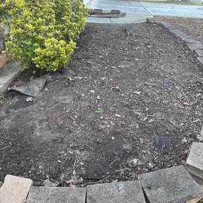 Leaf Removal by Maryville Mowers reviewed on March 24, 2026