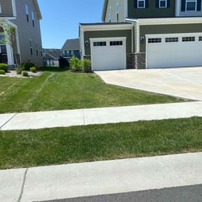 landscaping services by Roy's Mowing Services reviewed on August 21, 2025