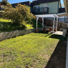 grass maintenance by Crunk Pro Lawn Care reviewed on May 11, 2024