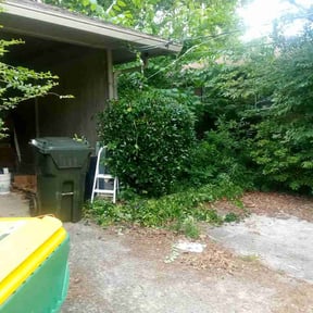 Bush Trimming by Micha's Mowing Services, LLC reviewed on August 21, 2025
