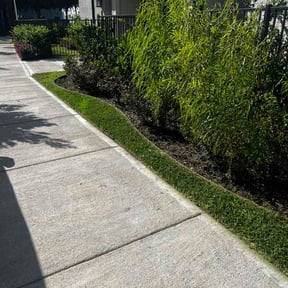 Flower Bed Weeding by Cook's Lawn Service reviewed on June 7, 2026