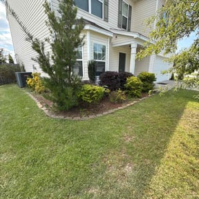 Bush Trimming by Sgp Lawn services reviewed on November 10, 2025