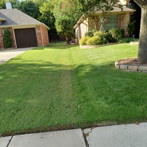 Bush Trimming by Yards R Us reviewed on August 21, 2025