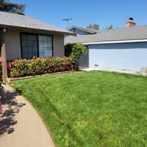 Bush Trimming by Community Lawn Concierge reviewed on August 18, 2025