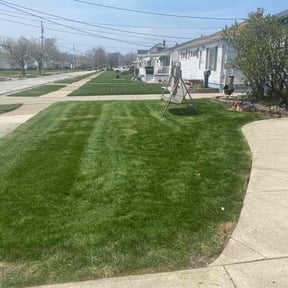 landscaping services by Tefel rivera reviewed on August 18, 2025