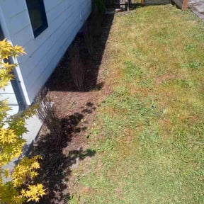 Flower Bed Weeding by 2 Palms Lawn Care reviewed on May 17, 2026