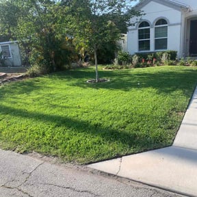yard maintenance by Affluere Lawncare reviewed on August 21, 2025