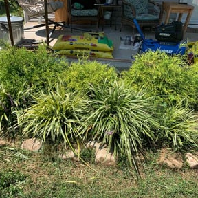 Flower Bed Weeding by Clean Green Lawn Care reviewed on November 8, 2025