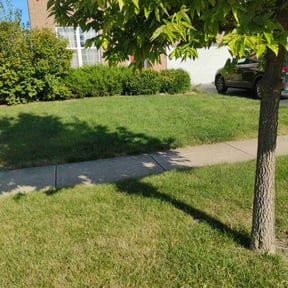 landscape maintenance by J guti landscape reviewed on August 15, 2025