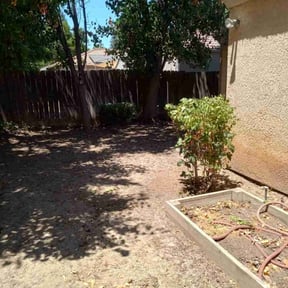 Bush Trimming by Virgil lawn service reviewed on August 19, 2025
