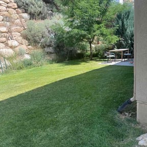 landscaping services by Medlyn Services L.L.C reviewed on August 16, 2025