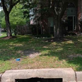 Leaf Removal by Wkwross Lawn Care and 72154 reviewed on August 17, 2025