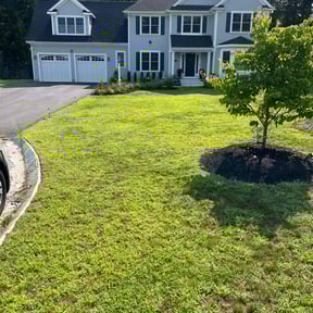 landscaping by Jireh Tree's & Landscaping reviewed on August 15, 2025