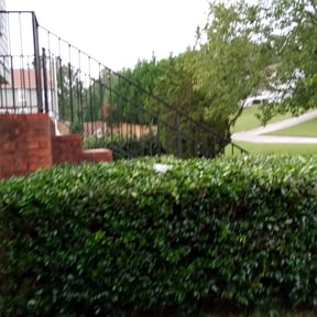 Bush Trimming by S-A-S Lawns N More reviewed on May 4, 2024