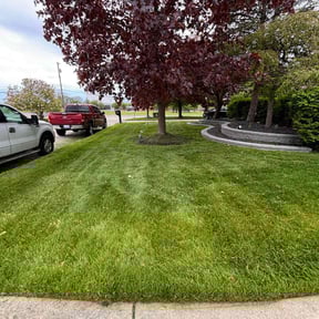 yard maintenance by Yard shard LLC reviewed on August 21, 2025
