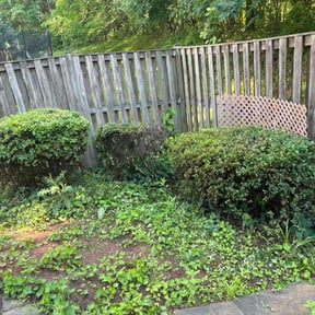 Bush Trimming by Top Lawn Companies, LLC reviewed on November 27, 2025